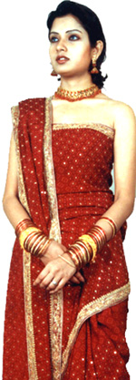 Bridal Saree