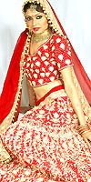 Punjabi Bride