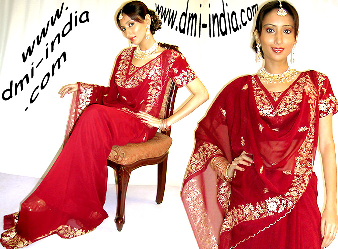 Zardosi Scallop Saree