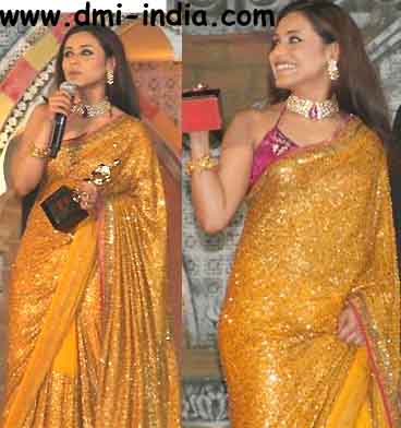 Gold Sequin Rani