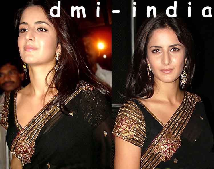 Katrina Metallic Sari