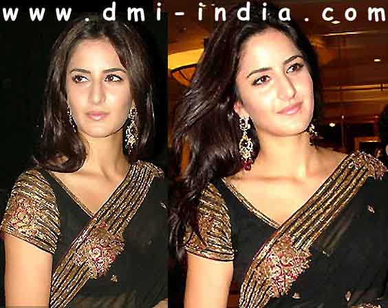 Katrina Metallic Sari