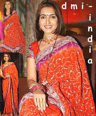 Vaidehi Handwork Sari