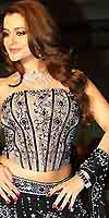 Ameesha Corset Sparkle