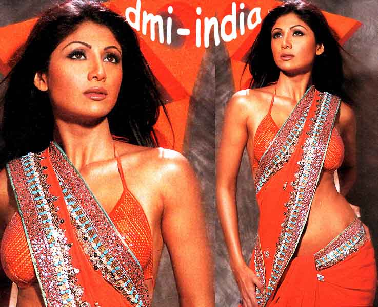 Shilpa Exotic Sari