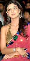 Shilpa Gold Sequin Sari
