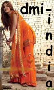 Namastey London Sharara